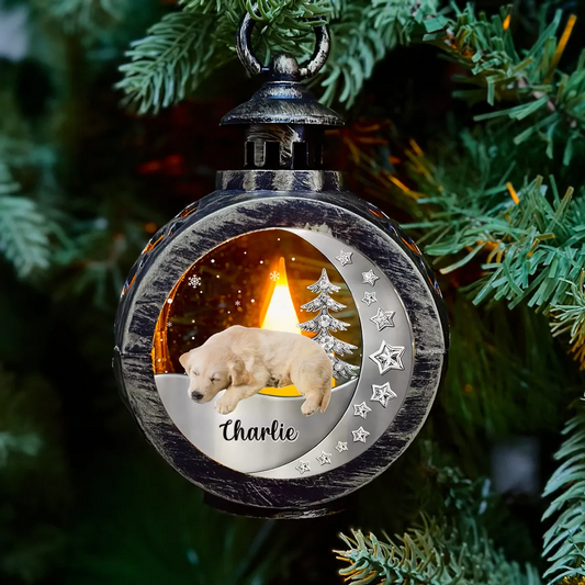 Beside You Photo - Personalized Custom 3D Effect Christmas Lantern