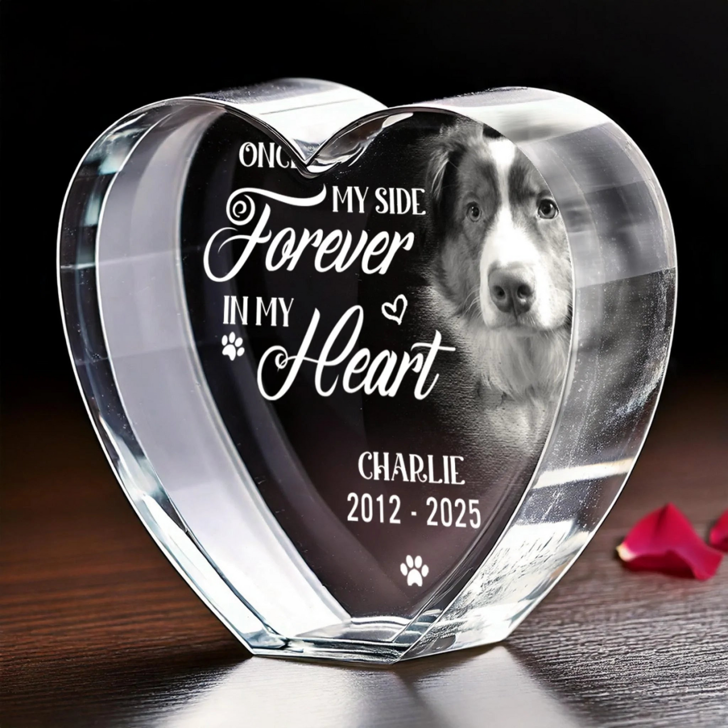 Custom Photo 3D Crystal Heart Shaped - Personalized Pet Memorial Sympathy Gifts For Dogs - Love Lives On Beyond Goodbye