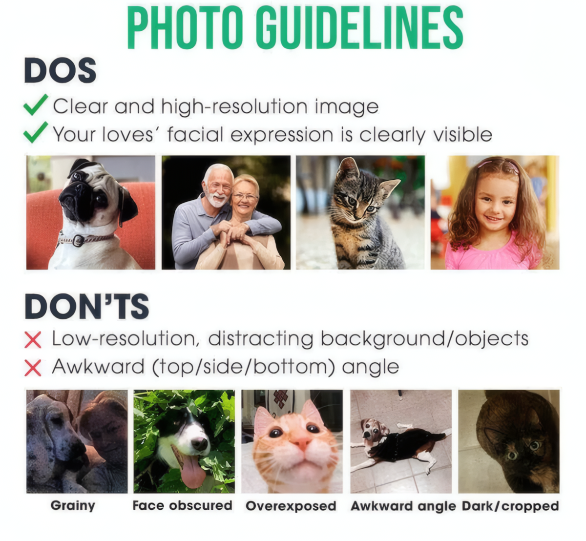 Custom Your Dog Cat Photo Pet Blanket - Personalize Gift For Dog/Cat Lovers